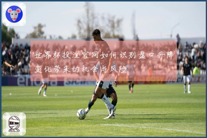 世界杯投注官网如何识别盘口升降变化带来的机会与风险
