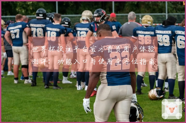 世界杯投注平台官方首页用户体验测评：功能入口与使用全方位指南