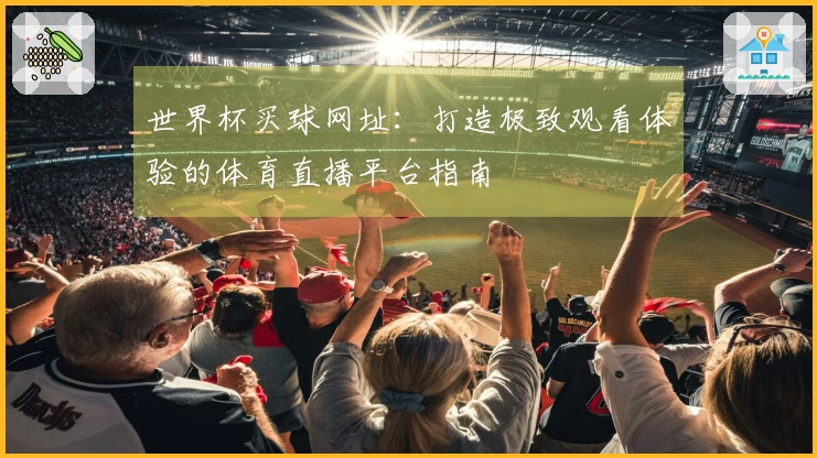 世界杯买球网址：打造极致观看体验的体育直播平台指南