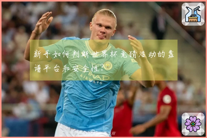 新手如何判断世界杯竞猜活动的靠谱平台和安全性？