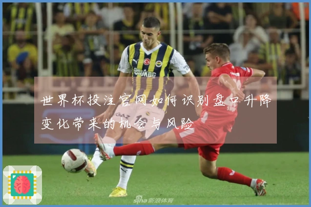 世界杯投注官网如何识别盘口升降变化带来的机会与风险