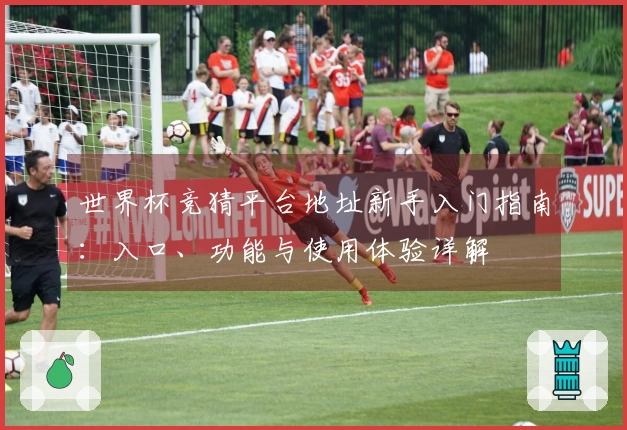 世界杯竞猜平台地址新手入门指南：入口、功能与使用体验详解
