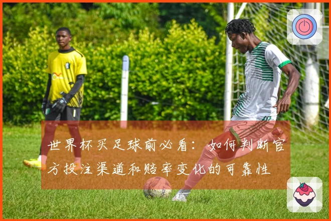 世界杯买足球前必看：如何判断官方投注渠道和赔率变化的可靠性