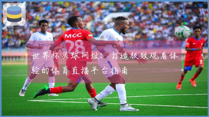 世界杯买球网址：打造极致观看体验的体育直播平台指南