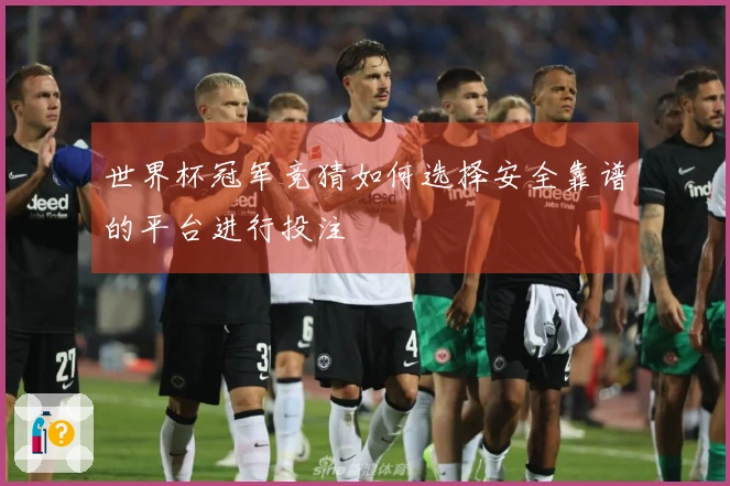 世界杯冠军竞猜如何选择安全靠谱的平台进行投注